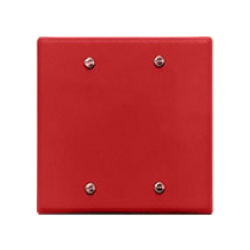 Module đồng bộ Wheelock DSM